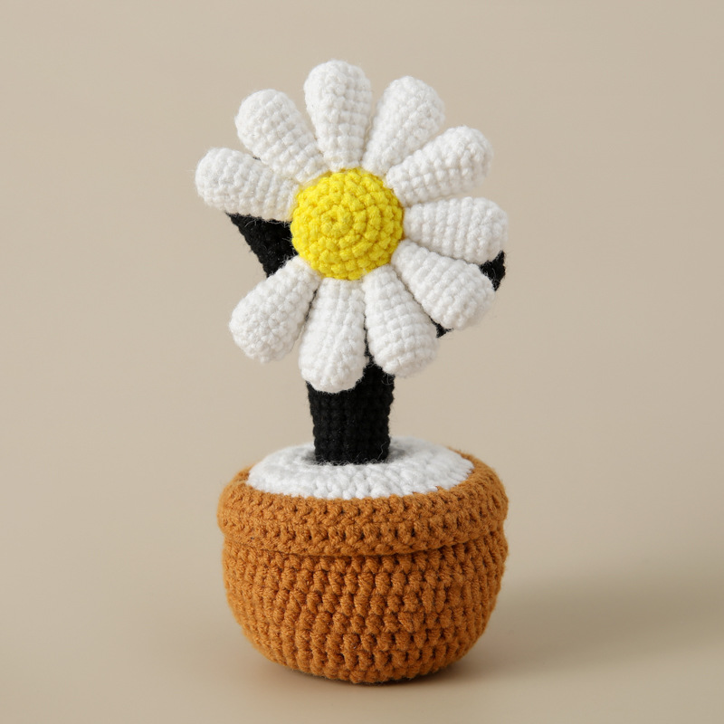 Margherita pianta in vaso