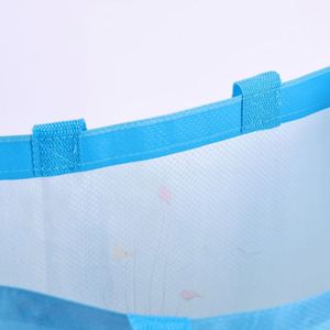 กระเป๋าผ้า PP ขายส่ง พิมพ์สีเต็มรูปแบบ โลโก้สั่งทำเคลือบลามิเนต กระเป๋าช้อปปิ้ง PP เป็นมิตรกับสิ่งแวดล้อม - Product Image 3