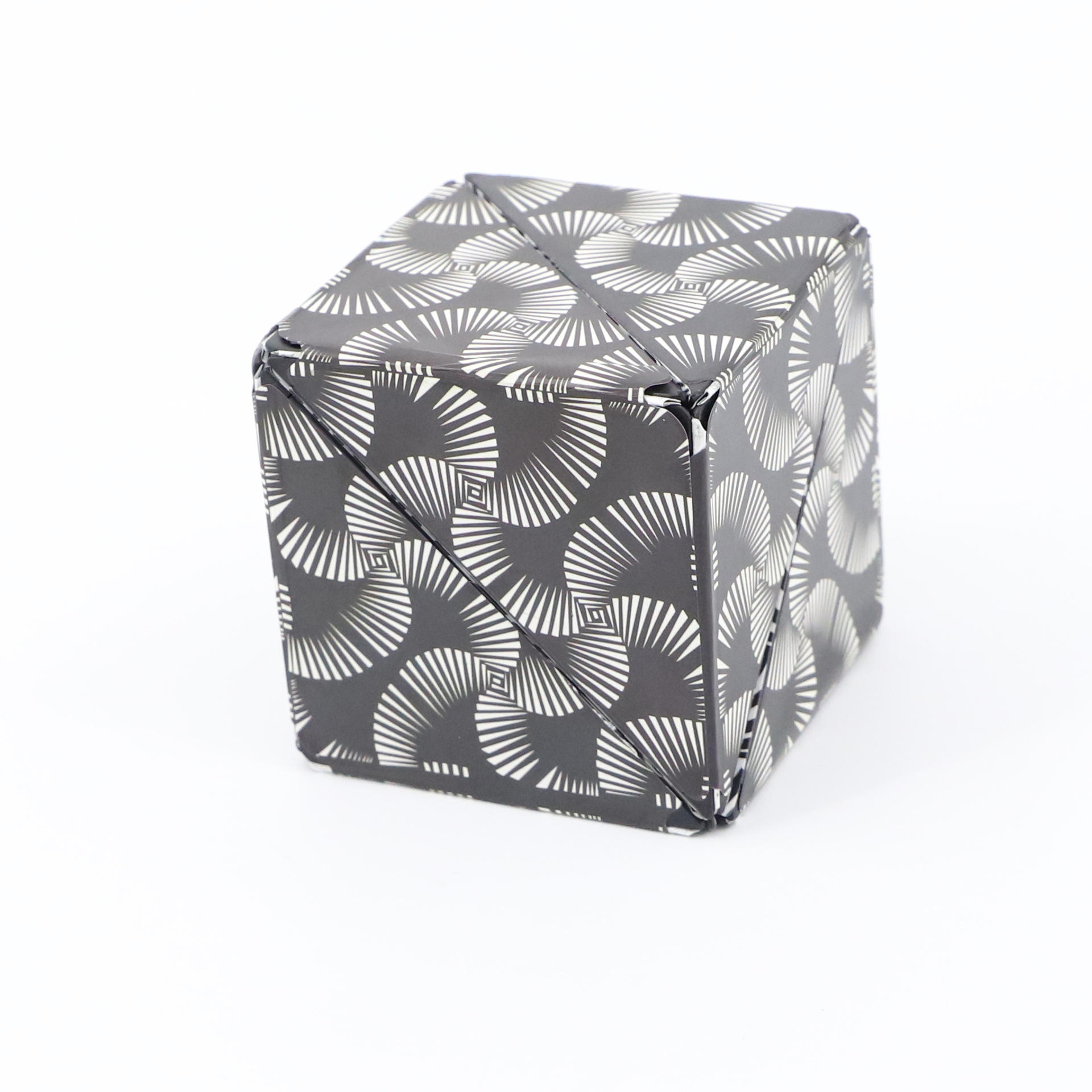 ลายทางสีดำและสีขาว