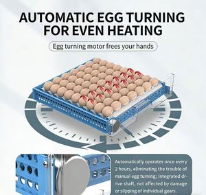 Zhanbang Fully Automatic Small Incubator 96% Hatching Rate for Chicken Duck Goose Turkey Reptile <b>Eggs</b>-Automatic <b>Egg</b> Turning New - Product Image 3