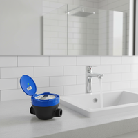 Compteur d'eau ultrasonique LoRaWAN/M-Bus/Modbus/Pulse/4G/NB-IoT/Polymère numérique Classe B CE ISO 4064
