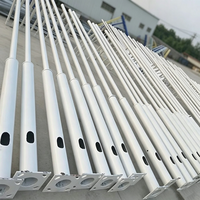 Poteau d'éclairage public à double bras en forme de papillon, poteau de lampadaire décoratif galvanisé à chaud pour projet municipal