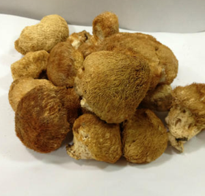 Hou tou gu champignon <span class=keywords><strong>Hericium</strong></span> cru comestible séché entier <span class=keywords><strong>Hericium</strong></span> non ramifié pour la nourriture - Product Image 6