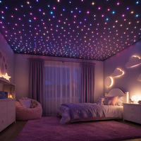 Kits de plafonniers LED RVBW 32W à fibres optiques PMMA, effet ciel étoilé, double tête contrôlée séparément, télécommande 12V