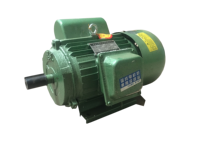 Moteur vibrant électrique monophasé industriel Weiyan, micro-moteur électrique AC 220V