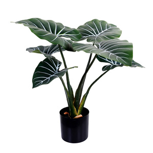 QIHAO - Plantas Artificiales de Hojas de Taro de 30 cm a 100 cm de Altura, Simulación Realista, Decoración de Interiores, Plantas Verdes en Maceta - Product Image 5