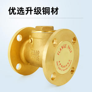 Válvula de Retención de Brida de Latón DN40 H44W-16Tdn100, Accesorios de Válvula de Retención Horizontal Específica para Ingeniería Neumática - Product Image 3