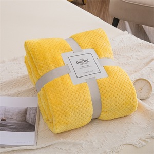 Usine directe bas quantité minimale de commande solide ananas tissé <span class=keywords><strong>lit</strong></span> pour animaux de compagnie canapé couverture 100% Polyester personnalisé pour l'hiver tricoté <span class=keywords><strong>d</strong></span>écoratif bébés - Product Image 2