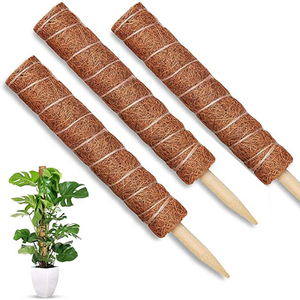 coco coir fiber monstera deliciosa green house plants large cheese plant natural narrow support garden stakes moss totem pole