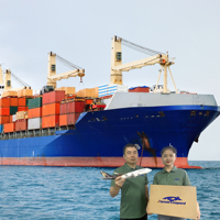 Vérifier le taux de service logistique Ddp Cago transitaire Agent de transport Chine vers États-Unis Royaume-Uni Allemagne Australie Canada France Italie UE