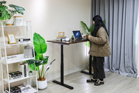 Table électrique réglable en hauteur OEM, cadre de bureau debout à double moteur, 3 niveaux, bureau de jeu intelligent, ergonomique, pour usage domestique ou professionnel
