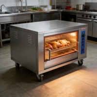 Four à rôtir au gaz commercial pour poulet, machine à griller la viande rotative au gaz pour poulet, à vendre