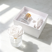 Diffuseur de parfum Finru Reed, pierre aromatique, bouteille en verre 100 ml, fleur en porcelaine, céramique, parfum d'ambiance, huile essentielle parfumée, désodorisant