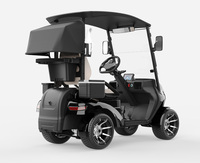 Voiturette de golf à longue autonomie, imperméable, monoplace, avec rangement arrière, voiturette de golf élégante, voiture de patrouille de station balnéaire
