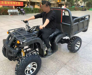 Cuatrimotos ATV Baratos de 200cc, 4 Tiempos, Transmisión Automática, Eje de Transmisión, Alta Calidad, 2WD en Venta - Product Image 4