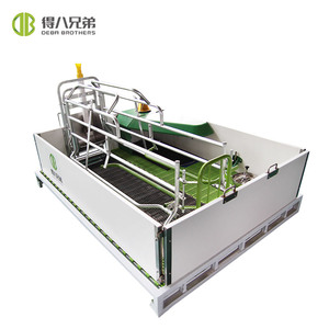 Nueva Cama de Parto para Cerdas DEBA Brother, Jaulas de Gestación, Varilla de Acero Galvanizado en Caliente, Rodamiento de Acero Inoxidable SST304, 1 Año de Garantía, para Granja - Product Image 6