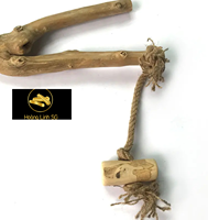 Meilleur prix perroquet en bois de Java perchoir d'oiseau/perchoir en bois de café pour perroquets en gros fabriqué du Vietnam HOANGLINH SG Kimy + 84938616690