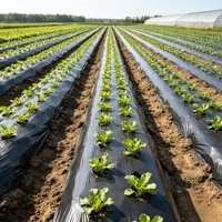 Film de paillage agricole noir pour le réchauffement du sol, la rétention de l'humidité et la culture de légumes en serre
