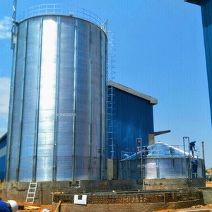 Различные тонны гальванизированного стального бункера для хранения зерновых кормов и порошков - Product Image 3