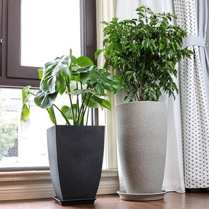 <span class=keywords><strong>Maceta</strong></span> <span class=keywords><strong>de</strong></span> plástico para balcón familiar, sala <span class=keywords><strong>de</strong></span> estar, jardín, extra grande, cuadrada, redonda, con parte trasera <span class=keywords><strong>de</strong></span> <span class=keywords><strong>tortuga</strong></span>, árbol rico <span class=keywords><strong>de</strong></span> bambú, Planta grande - Product Image 4