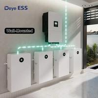 Batterie solaire de stockage d'énergie au lithium Lifepo4 murale haute puissance Deye RW-F16 basse tension 51,2V 314Ah 16Kwh