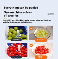 Keukenapparatuur Kleine Knoflookschiller Druivenschilmachine Automatische Huishoudelijke Pruimenschilmachine Elektrische Fruitschiller