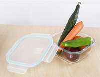 Ensemble de 4 bols en verre borosilicate trempé pour micro-ondes, carrés, hermétiques, avec compartiments, pour la conservation des aliments