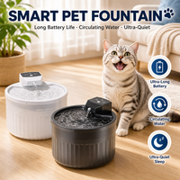 Distributeur d'eau pour animaux de compagnie à faible bruit, résistant aux éclaboussures, facile à nettoyer, avec capteur sans fil pour chats d'intérieur – Fournisseur direct usine