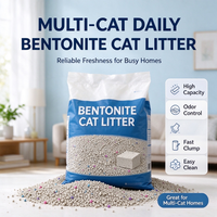 Litière pour chat en bentonite à forte agglomération, faible dispersion, sans poussière, vente en gros, OEM, ODM, personnalisable pour éleveurs de chats et chateries