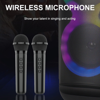 Enceinte Bluetooth sans fil extérieure double 8 pouces Sing-e ZQS8828X, haute puissance, pour karaoké et soirées