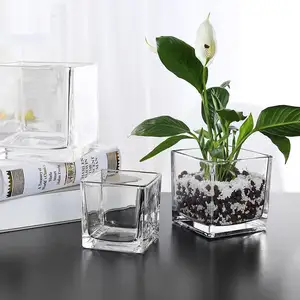 Stokta basit dekoratif masa küp bitki çiçek vazolar temizle kare ağır cam çiçek vazosu