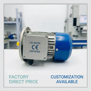 Moteur électrique 1 CV, 2880 tr/min, 2 pôles, haute vitesse, compact, pour applications industrielles et commerciales, fiable et économe en énergie - Product Image 2