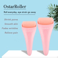 Thérapie de refroidissement de la peau en silicone à usage domestique Derma Ice Roller Tool pour le visage et le corps Nez Tête Soulagement des yeux Soulage les poches Masseur