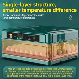 Incubateur spécialisé à température et humidité constantes, adapté aux œufs géants à couver, incubation professionnelle - Product Image 3