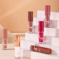 Ensemble de rouge à lèvres liquide mat de 12 pièces de différentes couleurs, Kit multicolore, boîte cadeau antiadhésive, ensemble cadeau pour filles, brillant à lèvres durable