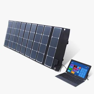 Caricabatteria solare 50W 100W 300W portatile ad alta efficienza caricabatteria solare a doppia tensione