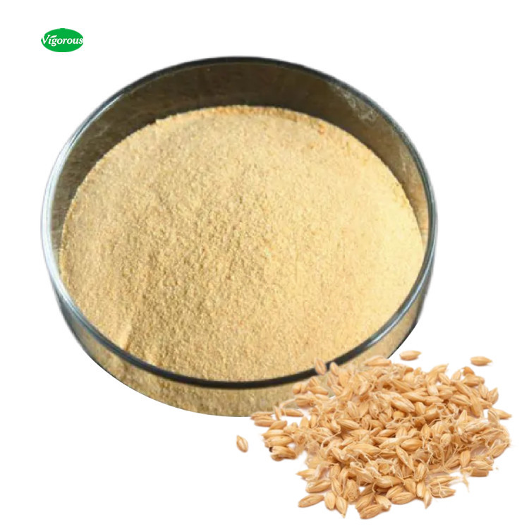 Pure Natural Organic Bulk Barley Malt