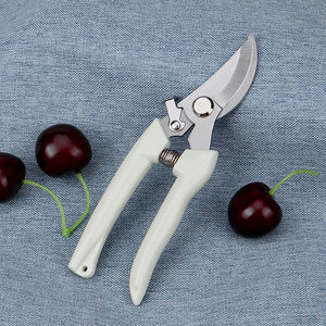 Ciseaux d'élagage en acier inoxydable avec lame incurvée pour couper les plantes, outil à manche en plastique - Product Image 1