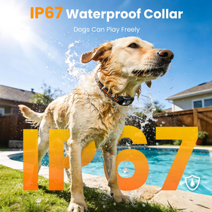 Collier <span class=keywords><strong>anti</strong></span>-<span class=keywords><strong>aboiement</strong></span> et de dressage 2-en-1 pour chien avec télécommande, 3 modes de dressage, collier portable <span class=keywords><strong>anti</strong></span>-<span class=keywords><strong>aboiement</strong></span> et d'entraînement - Product Image 6