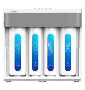 600g Water Dispenser Domestic Home Electric Customize 5 Stage Reverse Osmosis Water Filter System 220V Stainless Steel 304 110W