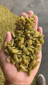 Frutta secca cruda uvetta noci di alta qualità - Product Image 3