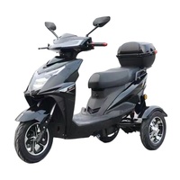 Tricycles électriques à grande vitesse 1000w Scooter électrique 60v Tricycle électrique voiture Mini moto électrique pour adulte