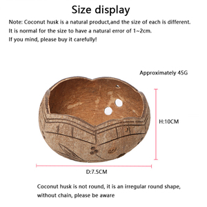 Ensemble de bols pour plantes, coquille de noix de <span class=keywords><strong>coco</strong></span> et de coquille de noix de <span class=keywords><strong>coco</strong></span>, pot de fleur - Product Image 5