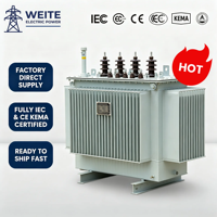 Transformador Sumergido en Aceite de 11kV, 1600kVA, Trifásico, Bobinado de Cobre, 400V, Certificado CE, 250kVA, Distribución de Energía Industrial Personalizada