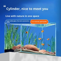 Aquarium de bureau en verre ultra-blanc, petit aquarium écologique pour tortues, style ruisseau naturel pour salon