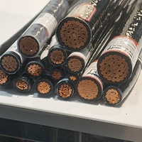 Cable Eléctrico de Cobre Trenzado con Aislamiento de PVC THHN 500MCM 250MCM, 600V, para Uso en Exteriores, 14-10 AWG
