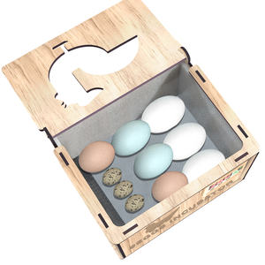 Wonegg DIY-9 incubateurs automatiques d'œufs double entièrement automatique Reptile Foshan caille <span class=keywords><strong>prix</strong></span> inclus plateaux d'œufs oeuf contrôlé - Product Image 4