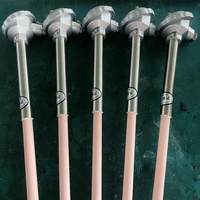 High Temperature S Type Thermocouple Sensor for Ceramic Kiln Furnace 2372 Fahrenheit 1300 Degree WRP-100 Thermocouple S R K Type