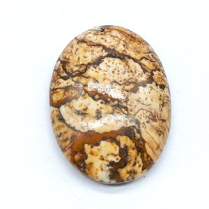 Photo Jasper Divers Taille Ovale Coupe Cabochon Pour La Fabrication De Bijoux - Product Image 5