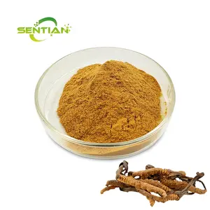 공장 공급 cordyceps 50% 다당류 30% Ganoderma